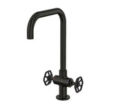 IKEA GAMLESJON Dual-Control Kitchen Mixer Tap, Brushed Black, Metal